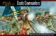 English Civil War: Covenanter Infantry (40)