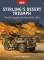 Osprey Raid: Stirlings Desert Triumph
