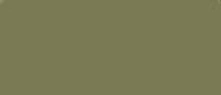 LifeColor Olive Drab Weathered 22ml FS 34088