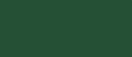 LifeColor Medium Green 42 22ml FS 34092
