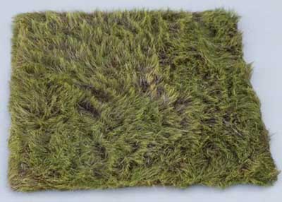 Long Grass Base