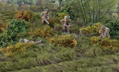 Long Grass Base