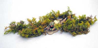 Bracken
