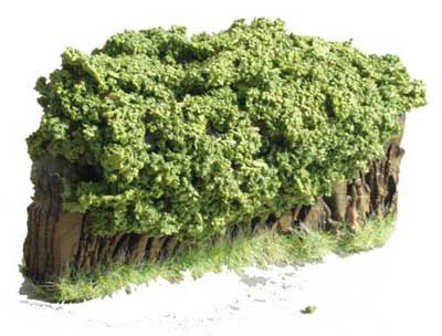 Low Field Hedge 3� Section