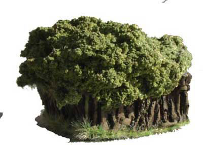 Low Field Hedge Corner