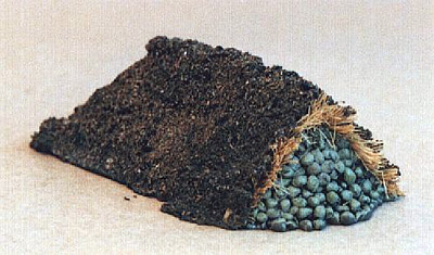 Root Store