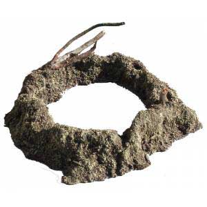 Small Shell Hole