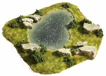 Large Natural Pond with Rocks & Bushes