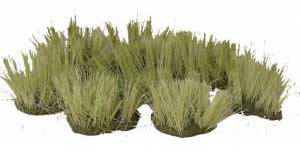 Green Grass Clumps
