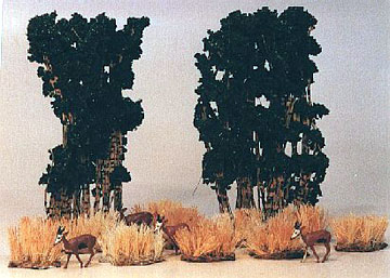 Elephant Grass Clumps
