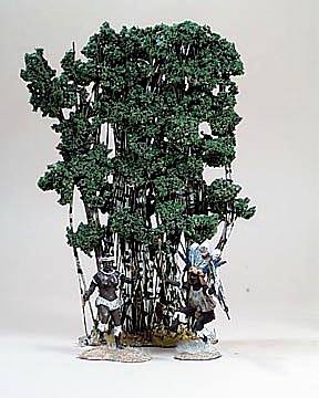 Stand of Bamboo