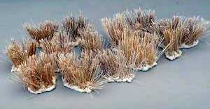 Winter Grass