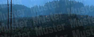 Forest Battlefield Background Scene