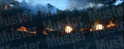 Forest Under Bombardment Background Scene