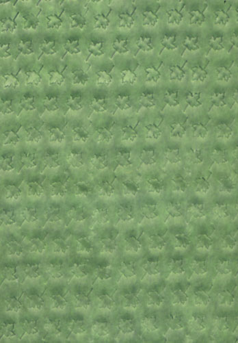 Summer Maple Leaves