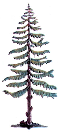 Tall Pine