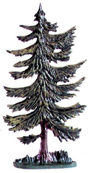 Tall Spruce