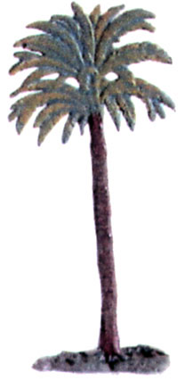Tall Palm