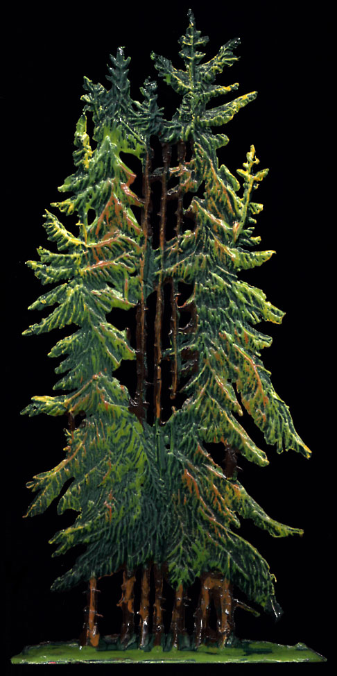 Tall Pine Grove