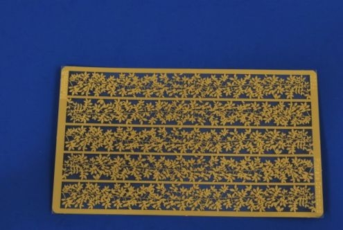 Pinnate Compound Leaf Set
