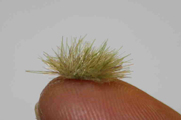 Spring Color Grass Tufts