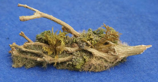 Fallen Branches- Pack of  2