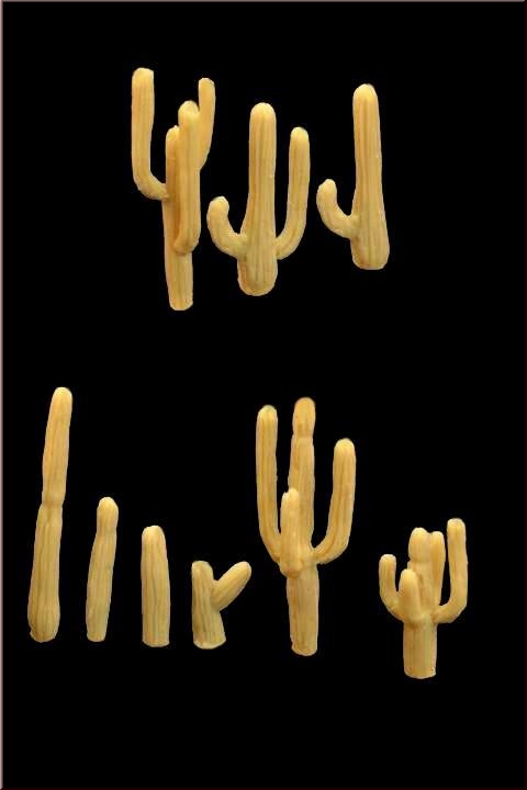 Cacti