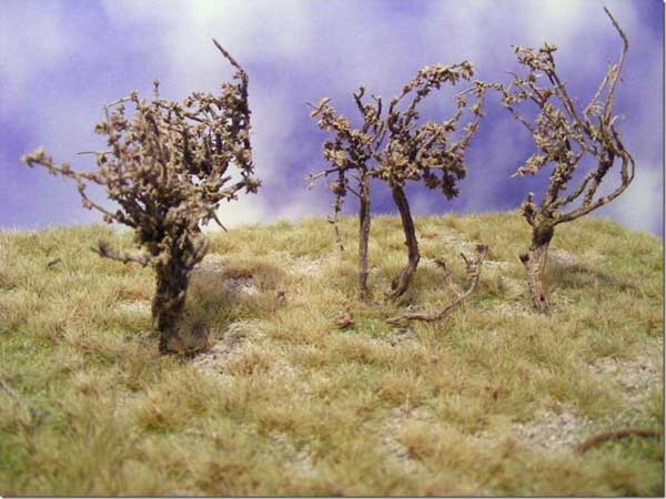 Nature-in-a-Pot - Natural Bushes