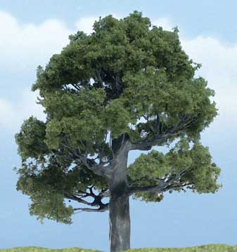 Trees - Premium Oak
