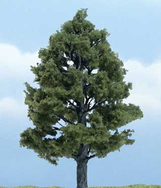 Trees - Premium Sweetgum