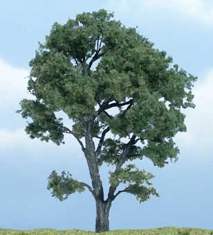 Trees - Premium Maple