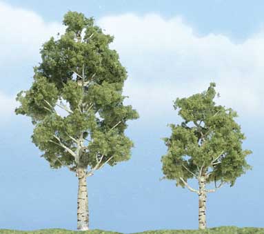 Trees - Premium Aspen