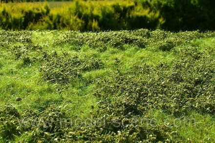 Premium Grass Mat: Low Bushes - Spring