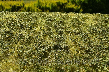 Premium Grass Mat: Low Bushes - Summer