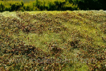 Premium Grass Mat: Low Brushes Autumn Dry Color