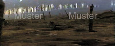 War Torn Forest