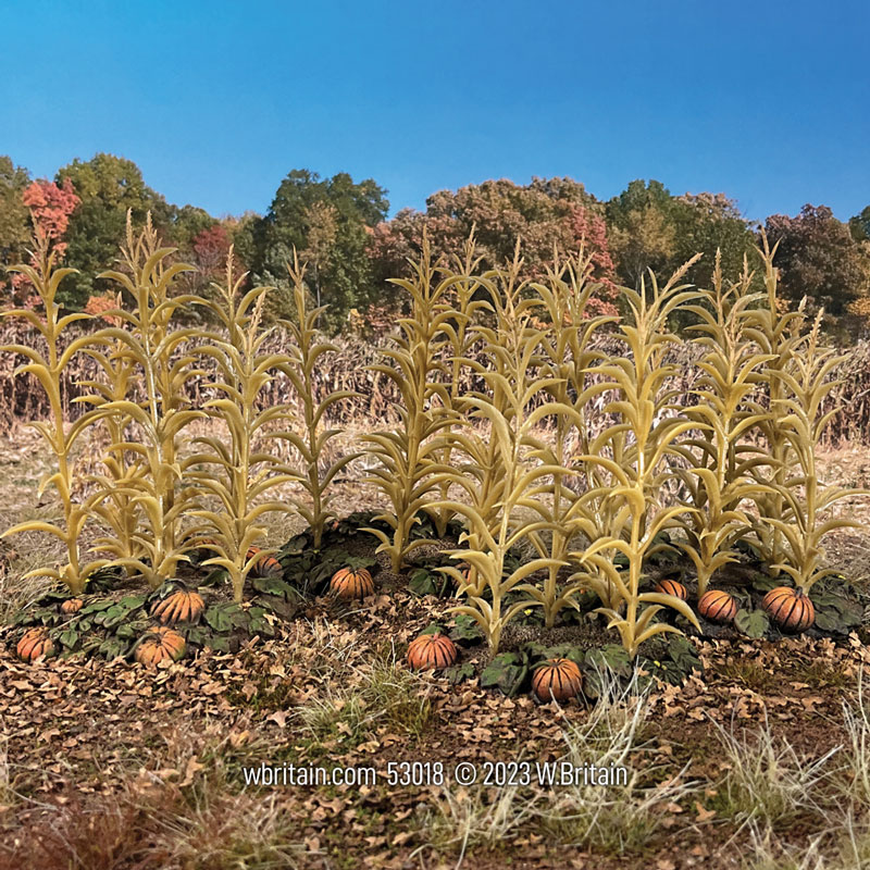 18th-19th Century Autumn Corn