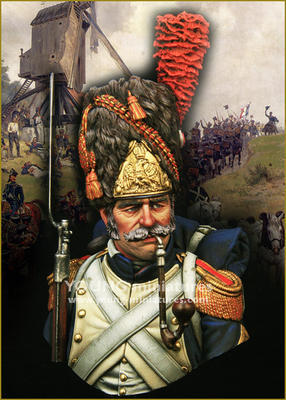 Napoleonic Wars French Grenadiers of the Imperial Guard