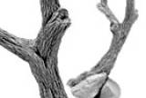 Armand P. Bayardi: MST Multi-Scale Dead Tree