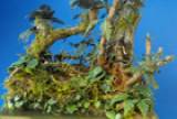 Fredericus-Rex Paper Plants 1/35th Scale