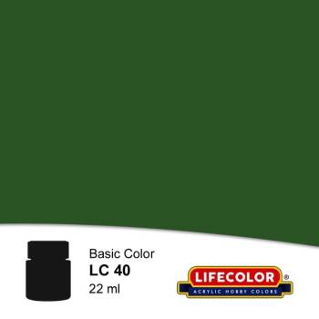 LifeColor Matt Napoleonic Dragon Green FS34062 Acrylic (22ml Bottle)