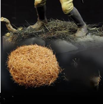Natural Plant Fibers