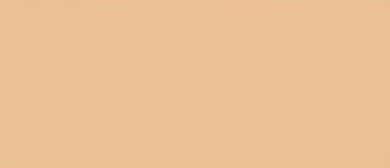 LifeColor Light Brown (22ml)