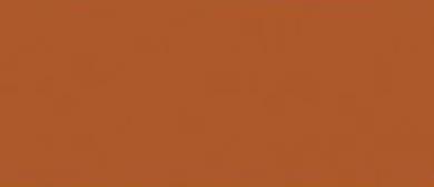 LifeColor Dark Brown (22ml)