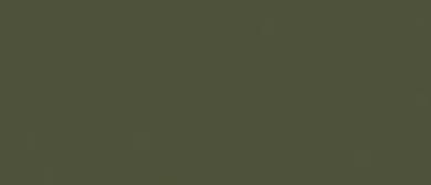 LifeColor Lusterless Olive Drab (22ml) FS 33070