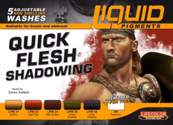 Quick Flesh Shadowing Liquid Pigments Set 