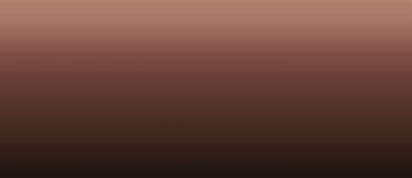 LifeColor Deep Rust Liquid Pigment for LP2 Rust Wizard (22ml Bottle)