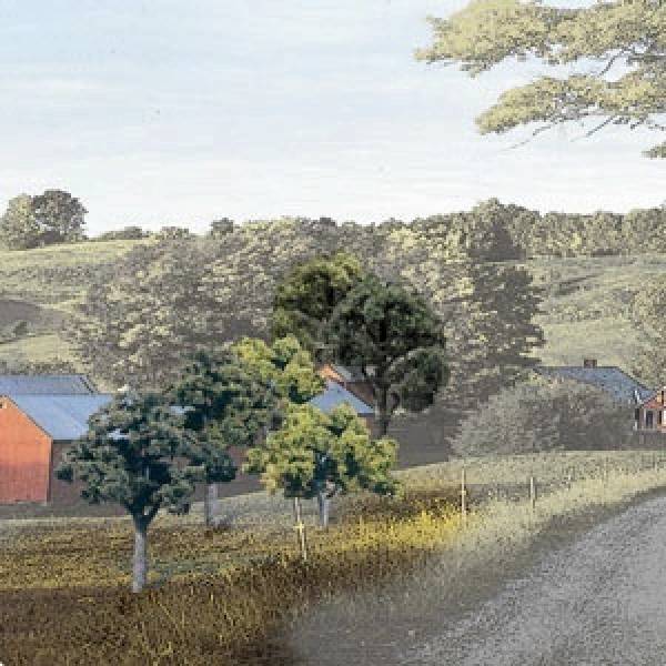 Trees - 2 to 3in Deciduous Ready Made Trees
