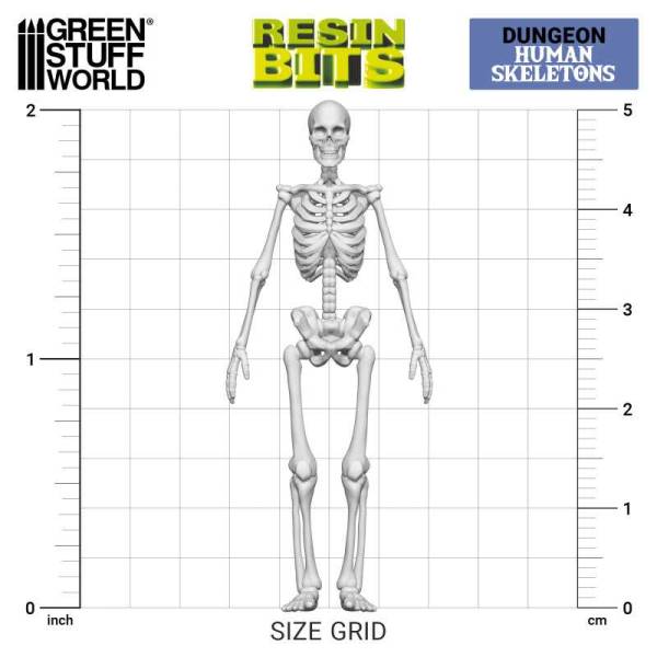 Green Stuff World 3D Printed Set - Positionable Human Skeletons 1:35