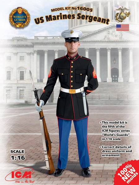 US Marine Sergeant Guard